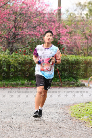 2026左岸竹東櫻花馬拉松Zhudong Sakura Marathon