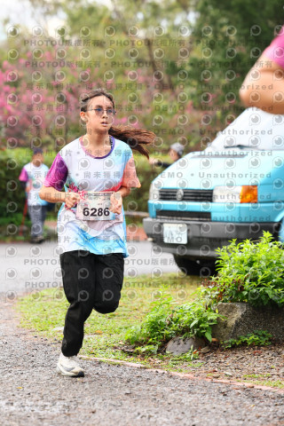 2026左岸竹東櫻花馬拉松Zhudong Sakura Marathon