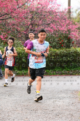 2026左岸竹東櫻花馬拉松Zhudong Sakura Marathon