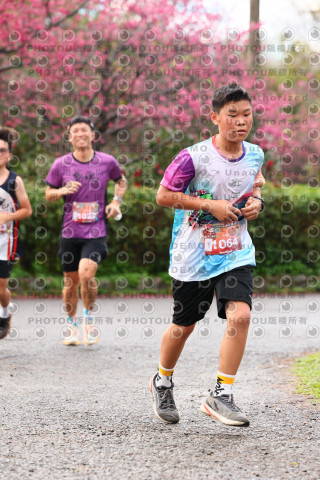 2026左岸竹東櫻花馬拉松Zhudong Sakura Marathon