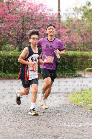 2026左岸竹東櫻花馬拉松Zhudong Sakura Marathon