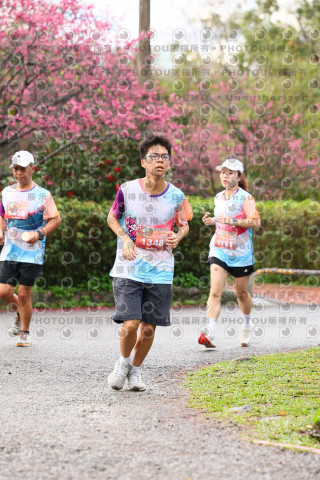 2026左岸竹東櫻花馬拉松Zhudong Sakura Marathon