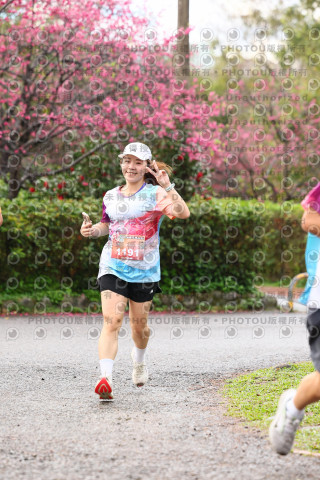 2026左岸竹東櫻花馬拉松Zhudong Sakura Marathon