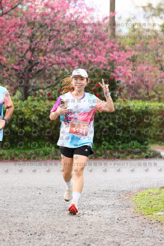 2026左岸竹東櫻花馬拉松Zhudong Sakura Marathon