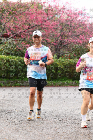 2026左岸竹東櫻花馬拉松Zhudong Sakura Marathon