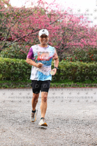 2026左岸竹東櫻花馬拉松Zhudong Sakura Marathon