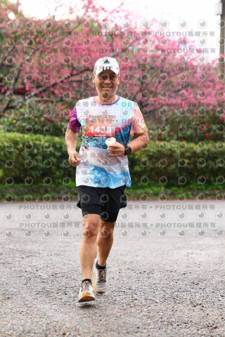 2026左岸竹東櫻花馬拉松Zhudong Sakura Marathon