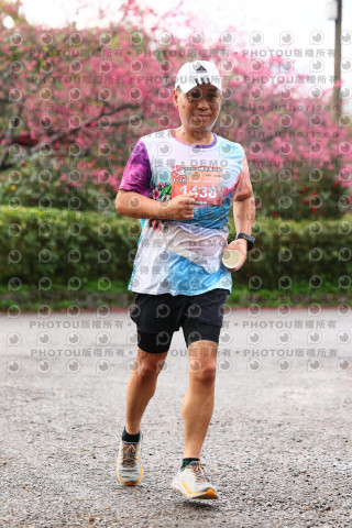 2026左岸竹東櫻花馬拉松Zhudong Sakura Marathon