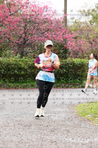 2026左岸竹東櫻花馬拉松Zhudong Sakura Marathon
