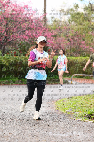2026左岸竹東櫻花馬拉松Zhudong Sakura Marathon