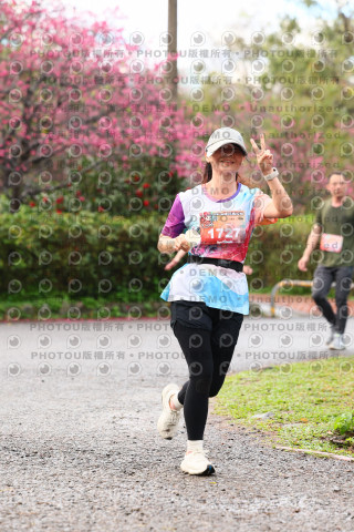 2026左岸竹東櫻花馬拉松Zhudong Sakura Marathon