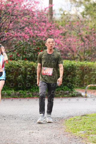 2026左岸竹東櫻花馬拉松Zhudong Sakura Marathon