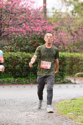 2026左岸竹東櫻花馬拉松Zhudong Sakura Marathon