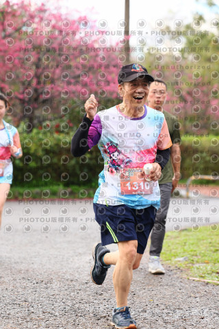 2026左岸竹東櫻花馬拉松Zhudong Sakura Marathon