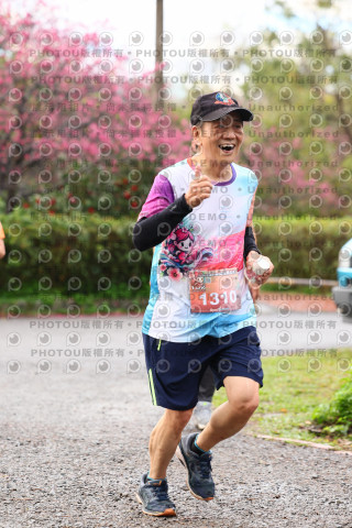 2026左岸竹東櫻花馬拉松Zhudong Sakura Marathon