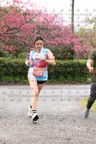 2026左岸竹東櫻花馬拉松Zhudong Sakura Marathon
