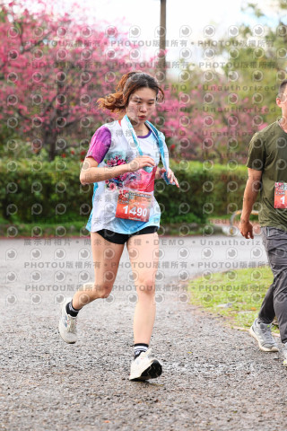 2026左岸竹東櫻花馬拉松Zhudong Sakura Marathon