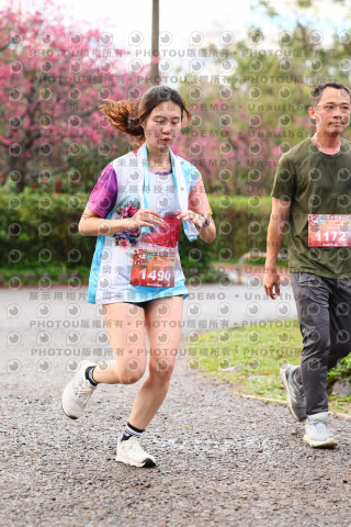 2026左岸竹東櫻花馬拉松Zhudong Sakura Marathon