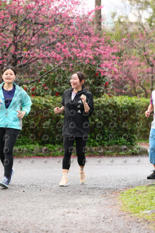 2026左岸竹東櫻花馬拉松Zhudong Sakura Marathon