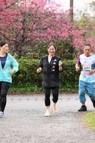 2026左岸竹東櫻花馬拉松Zhudong Sakura Marathon