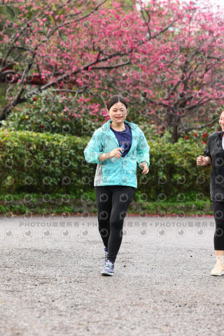 2026左岸竹東櫻花馬拉松Zhudong Sakura Marathon