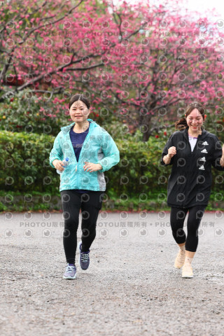 2026左岸竹東櫻花馬拉松Zhudong Sakura Marathon