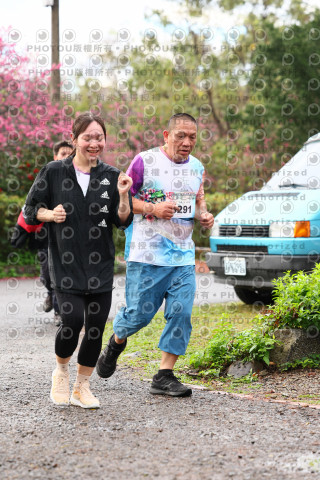 2026左岸竹東櫻花馬拉松Zhudong Sakura Marathon