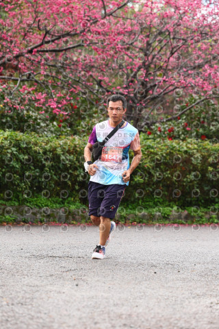 2026左岸竹東櫻花馬拉松Zhudong Sakura Marathon
