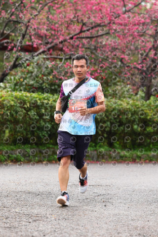 2026左岸竹東櫻花馬拉松Zhudong Sakura Marathon