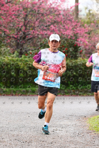 2026左岸竹東櫻花馬拉松Zhudong Sakura Marathon