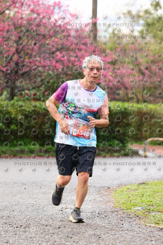 2026左岸竹東櫻花馬拉松Zhudong Sakura Marathon