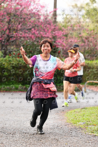 2026左岸竹東櫻花馬拉松Zhudong Sakura Marathon