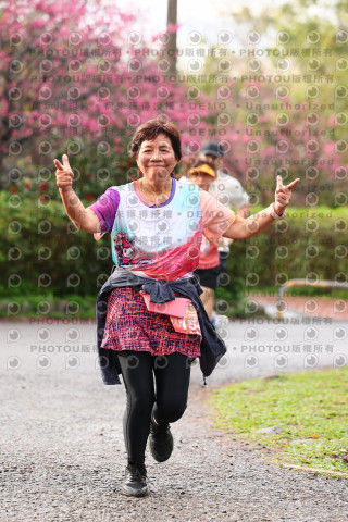 2026左岸竹東櫻花馬拉松Zhudong Sakura Marathon