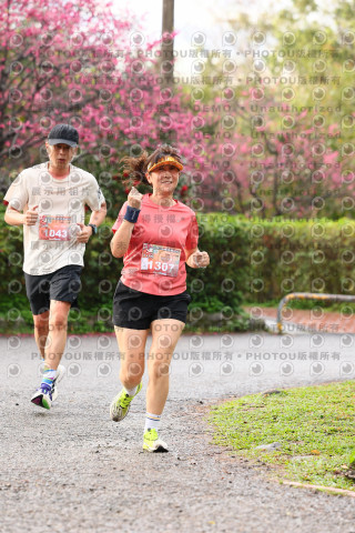 2026左岸竹東櫻花馬拉松Zhudong Sakura Marathon