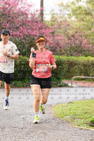 2026左岸竹東櫻花馬拉松Zhudong Sakura Marathon