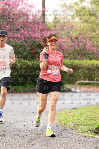 2026左岸竹東櫻花馬拉松Zhudong Sakura Marathon