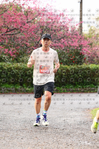 2026左岸竹東櫻花馬拉松Zhudong Sakura Marathon