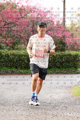 2026左岸竹東櫻花馬拉松Zhudong Sakura Marathon