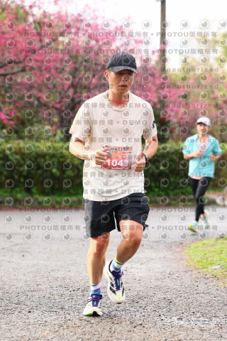 2026左岸竹東櫻花馬拉松Zhudong Sakura Marathon