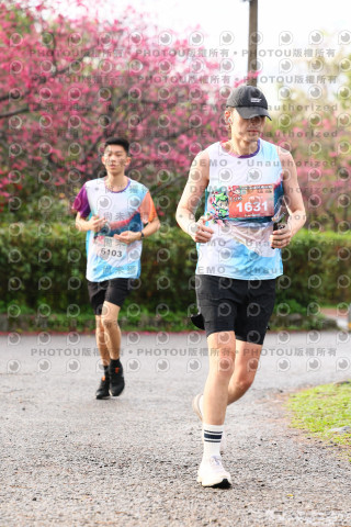 2026左岸竹東櫻花馬拉松Zhudong Sakura Marathon