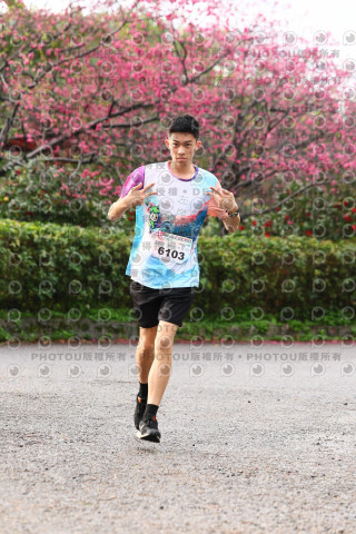 2026左岸竹東櫻花馬拉松Zhudong Sakura Marathon