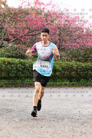 2026左岸竹東櫻花馬拉松Zhudong Sakura Marathon