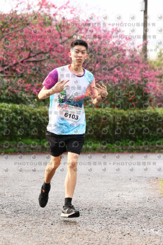 2026左岸竹東櫻花馬拉松Zhudong Sakura Marathon