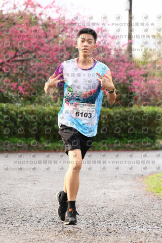 2026左岸竹東櫻花馬拉松Zhudong Sakura Marathon