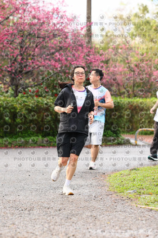 2026左岸竹東櫻花馬拉松Zhudong Sakura Marathon
