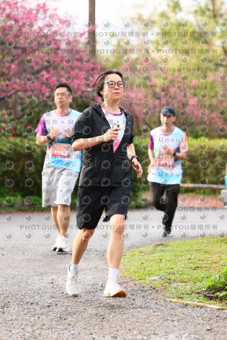 2026左岸竹東櫻花馬拉松Zhudong Sakura Marathon