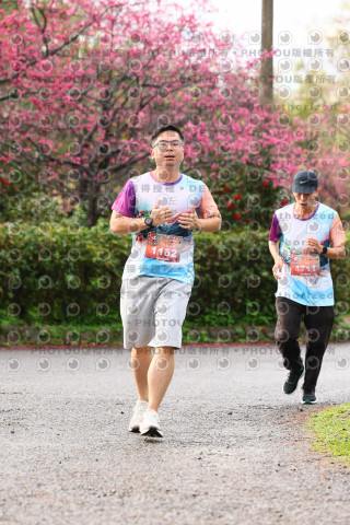 2026左岸竹東櫻花馬拉松Zhudong Sakura Marathon