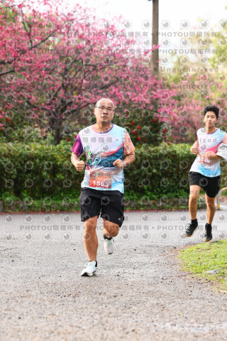 2026左岸竹東櫻花馬拉松Zhudong Sakura Marathon