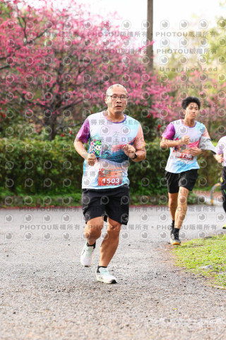 2026左岸竹東櫻花馬拉松Zhudong Sakura Marathon