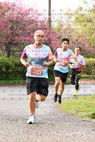 2026左岸竹東櫻花馬拉松Zhudong Sakura Marathon
